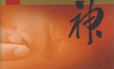 Maciocia-Die Psyche in der chinesischen Medizin