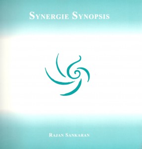 Synergie Synopsis von Rajan Sankaran