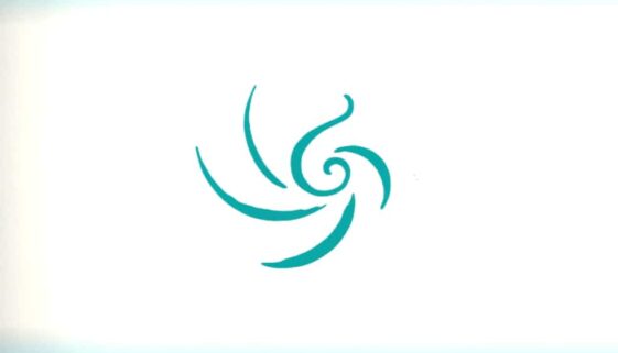 Synergie Synopsis von Rajan Sankaran