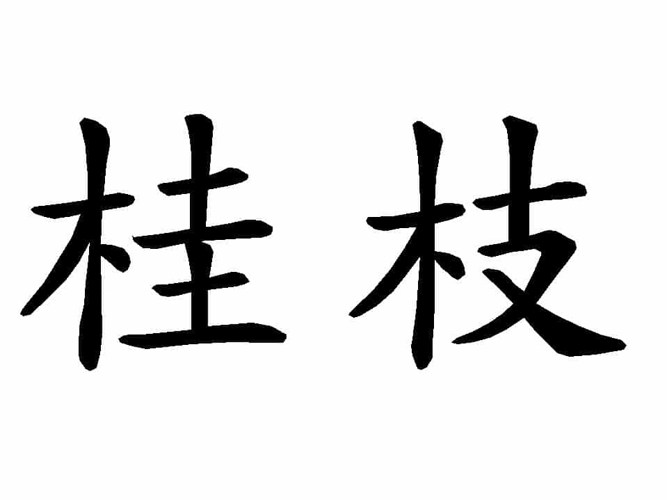 Guizhi Guizhi