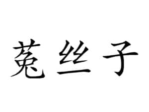 Tusizi