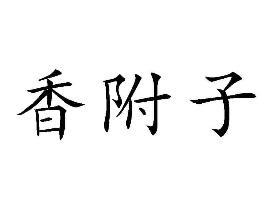 Xiangfu Xiangfu