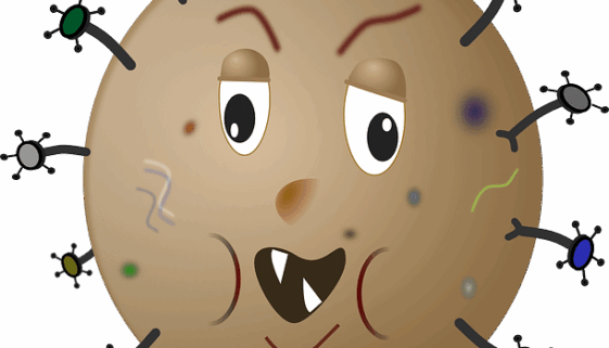 Grippe