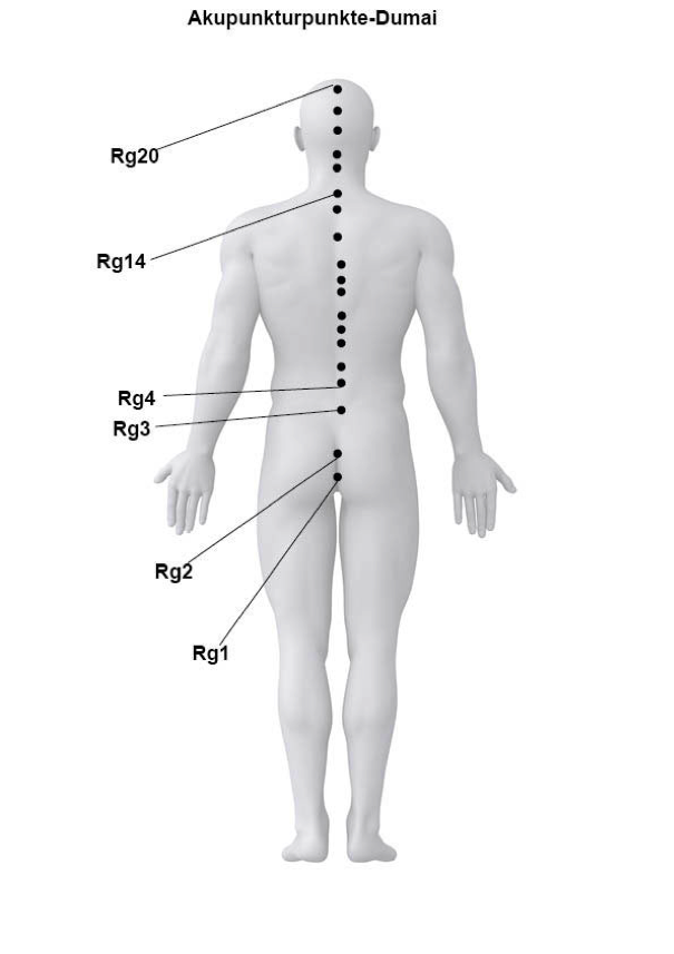 Akupunkturpunkte Des Funktionskreises Dumai