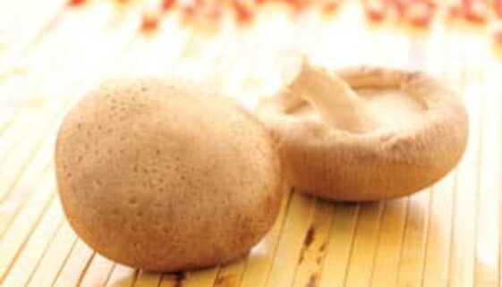 GFV_Shiitake