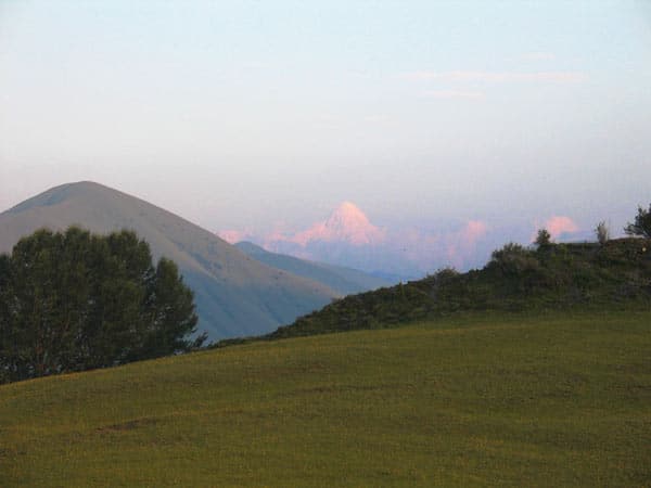 Schöne-Landshcaft-kröuter