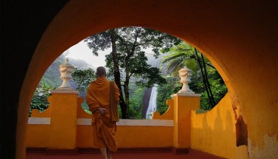 Tibet Medizin