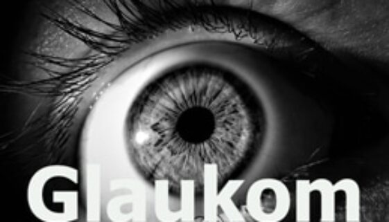 Auge2