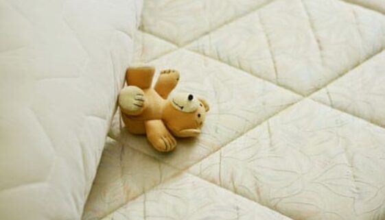 Bild-Teddybaer