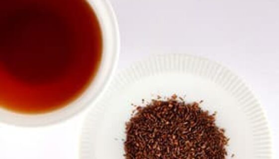 rooibos