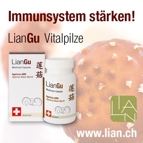 Die Organuhr der Traditionellen Chinesischen Medizin (TCM)