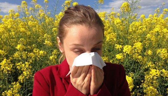 allergien