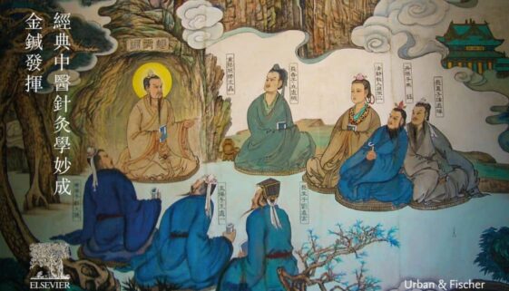 Hammes-Lehrbuch-der-klass-Chines-Mezin-u-Akupunktur-9783437568213--2