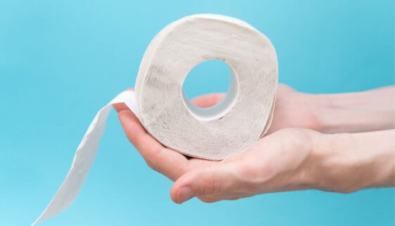 toilettenpapier-2