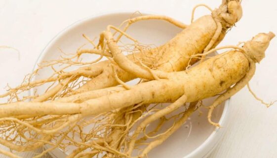 ginseng-2