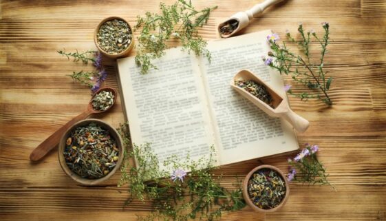 Materia medica Bensky-2