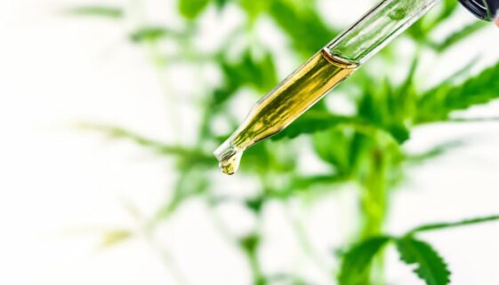 close-up-of-cbd-oil-against-marijuana-plant-2023-11-27-04-59-27-utc-2