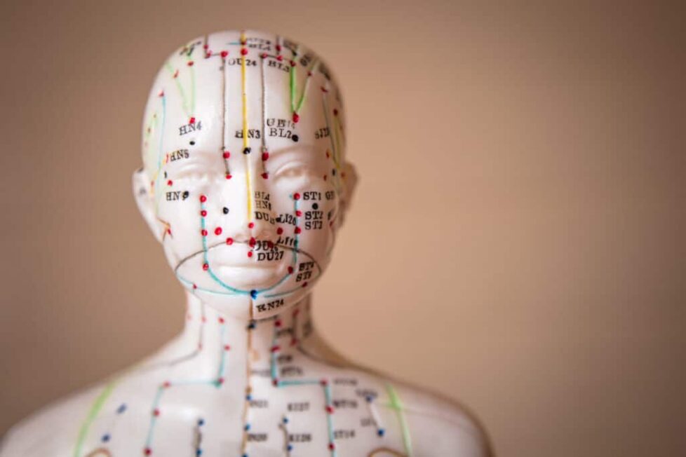 Selective focus shot of a dummy with Acupuncture points and meridians Selective focus shot of a dummy with Acupuncture points and meridians