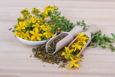 finjam-saint-johns-wort-5938314-2