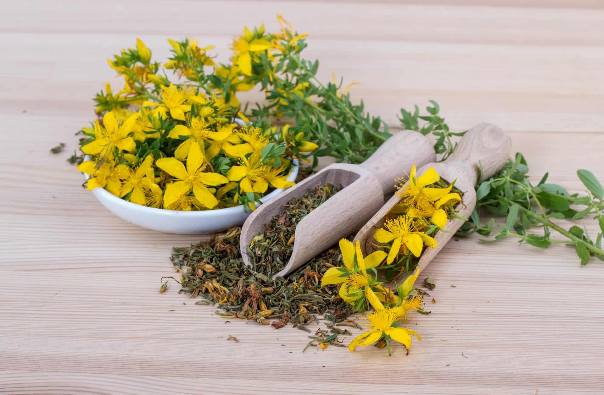 finjam-saint-johns-wort-5938314-2