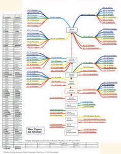 Cards Plant theory – map