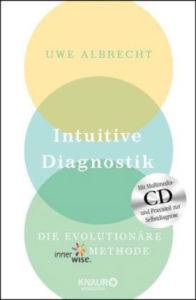 Intuitive Diagnostik, mit CD-ROM