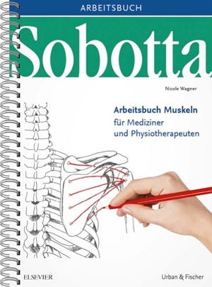 Sobotta Arbeitsbuch uskeln Arbeitsbuch für ediziner und
Physiotherapeuten PDF Epub-Ebook