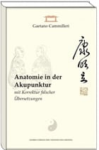 Anatomie in der Akupunktur mit Korrektur falscher Übersetzungen
