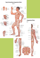 Tung´s Extraordinary Acupuncture Points Posters 1+2 (A3)