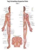 Tung´s Extraordinary Acupuncture Points Akupunkturtafel Chart 2 (A4-Format)