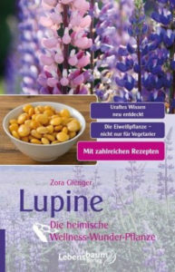 Lupine – Die heimische Wellness-Wunder-Pflanze