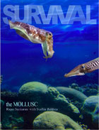 Survival – The Mollusc Vol. 1