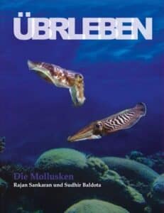 Überleben – Die Mollusken