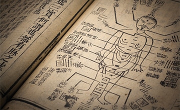 Akupunktur + TCM Akupunktur + TCM