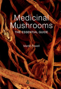 Medicinal Mushrooms – The Essential Guide