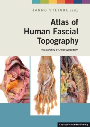 atlas topography fascial human