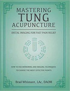 Mastering Tung Acupuncture