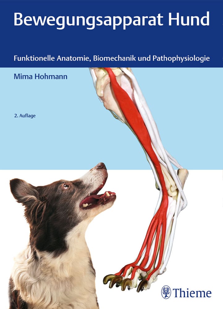 Bewegungsapparat Hund von Mima Hohmann mit zahlr. Abbildungen