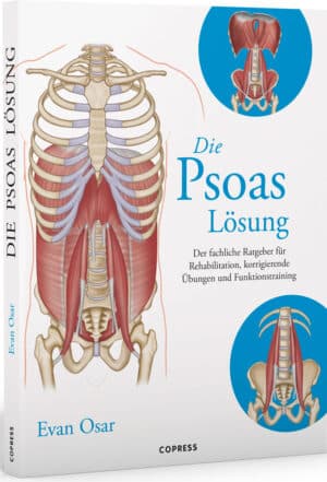 Die Psoas-Lösung