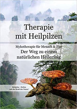 Therapie mit Heilpilzen