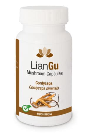 LianGu Cordyceps, Vitalpilz, 120 Kapseln