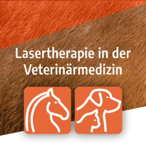 Onlinekurs Laserfeldtherapie kompakt