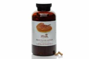 Hawlik Bio Reishi Heilpilz Pulver, 500 Kapseln