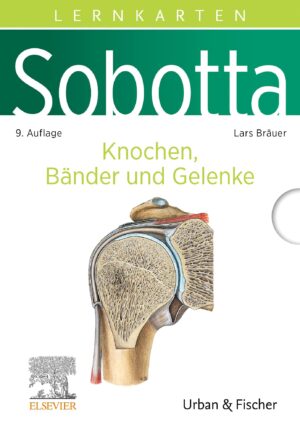 Sobotta Lernkarten Knochen, Bänder, Gelenke