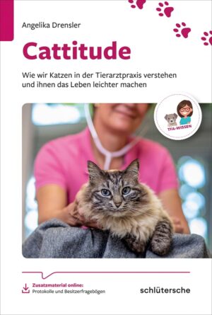 Wie wir Katzen in der Tierarztpraxis verstehen und ihnen das Leben