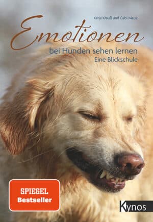Emotionen bei Hunden sehen lernen